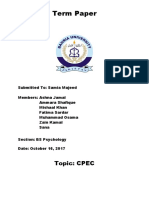 CPEC Term Paper REDONE