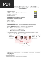 Tema 3. Miriápodos