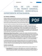 Tema 53. Patología de Los Pares Craneales y Tronco Encefálico FINAL