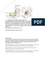 Geografia SPR