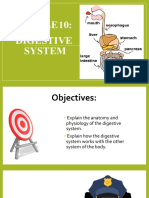 Module 10-Digestive System