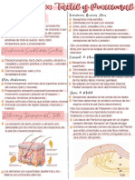 12 - Sensaciones Táctil y Posicional