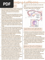 9 - Embarazo y Lactancia