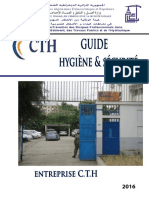 Guide HSE RAPPORT FINAL CTH PDF