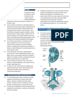 Support of Renal Function