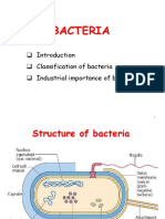 Bacteria Presentation 1