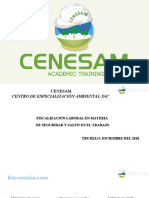 Ponencia Fiscalizacion Laboral Dic 18cenesam