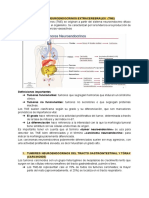 Tumores Neuroendocrinos (Tne)