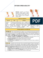 "Estudio Área Adulto" PDF