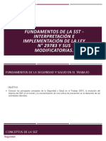 Interpretación de La Ley 29783