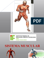  Sistema Muscular 