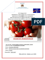 Rapport de Stage Duroc Tomate Cerise-1 PDF