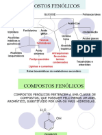 Farmacognosia - Compostos Fenólicos