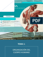 ANATOMIA 1 Farmacologia PDF