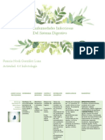 Enfermedades Infecciosas Del Sistema Digestivo Act. 4.4 PDF