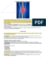 Anatomía Módulo 5