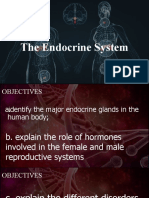 The Endocrine System