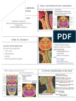 78338-Anatomy of The Oral Cavity Pharynx and Larynx - Schuknecht