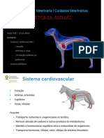 Anatomia (2022-2023) Aula T09 - 13122021 Circulatrio PDF