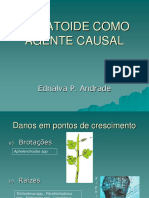 Aula 6 Nematoides Como Agentes Causais de Doenças PDF