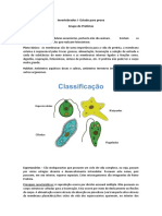 Invertebrados I Estudo para Prova