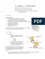 15) Pelvis Ósea y Perineo