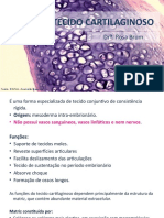 Histologia - Aula 3 - Tecido Cartilaginoso