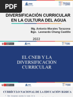 El Cneb y La Diversificación Curricular