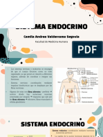 Sistema Endocrino