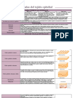 Células Del Tejido Epitelial