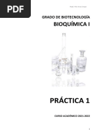 PRACTICA 1 Curso 21-22 PDF