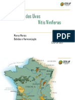 Vinhos França 2021 PDF