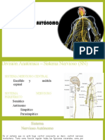 Sistema Nervioso Autonomo