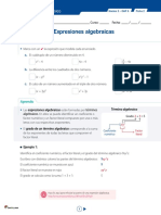 Expresiones Algebraicas