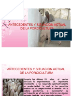 Antecedentes, Situacion Actual y Generalidades de La Porcicultura