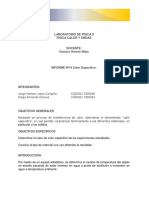 Informe No 13-14 - Calor Especifico y Dilatacion Lineal