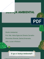 Justiça Ambiental PDF