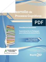 Procesos Cognitivos PDF