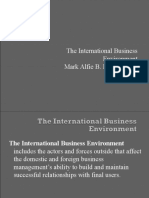 International Business Environment