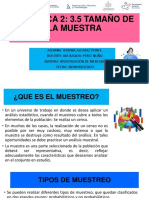 Tamaño de La Muestra PDF