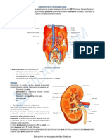 6 Retroperitoneo PDF