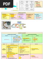 Resumen Hematología