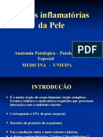 1LesÃ Es Inflamatã Rias Da Pele