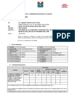 Informe Mes de Noviembre. Flor de María Díaz Delgado.