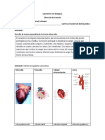 Lab. Biología 2