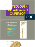 Clase 8 Osteología de MMII