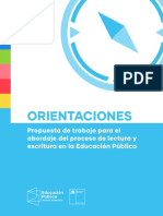 Orientaciones Educación Pública