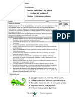 4to Básico - Evaluación Semestral - Ciencias Naturales