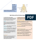 Science Nervous System