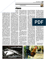 A Roda Da Fortuna. Correio9 - Edição de 29-01-2021